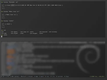 THUMB: sshot-20110123-dwm-debian.jpg