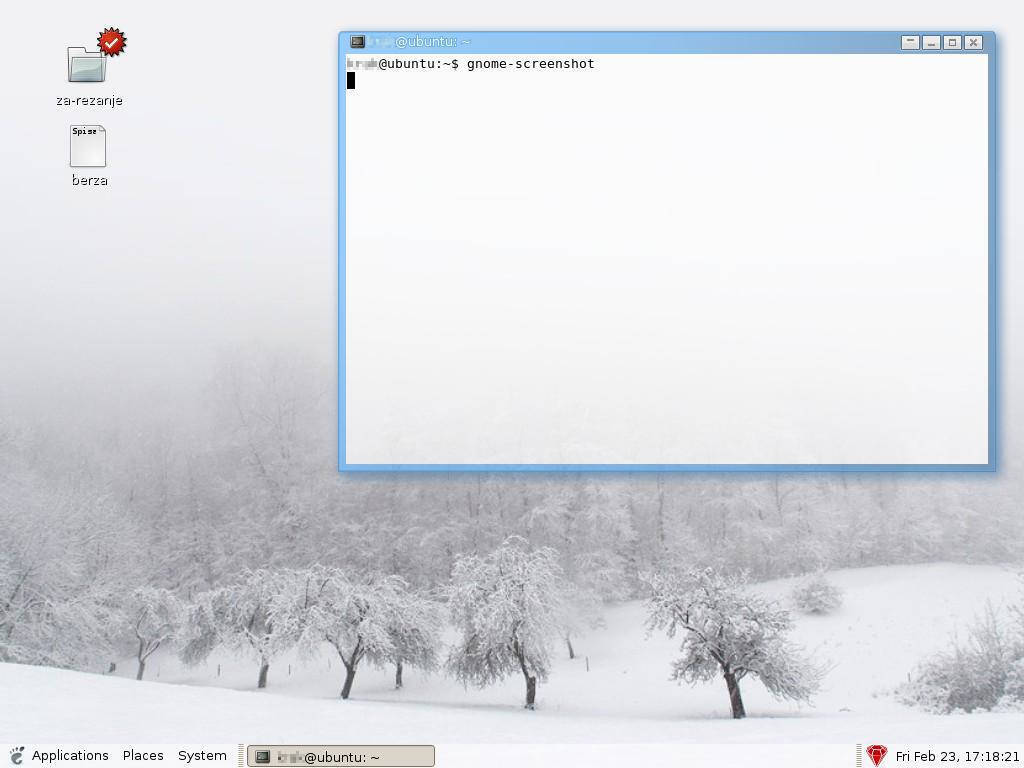 IMG: sshot-20070223-gnome-ubuntu.jpg