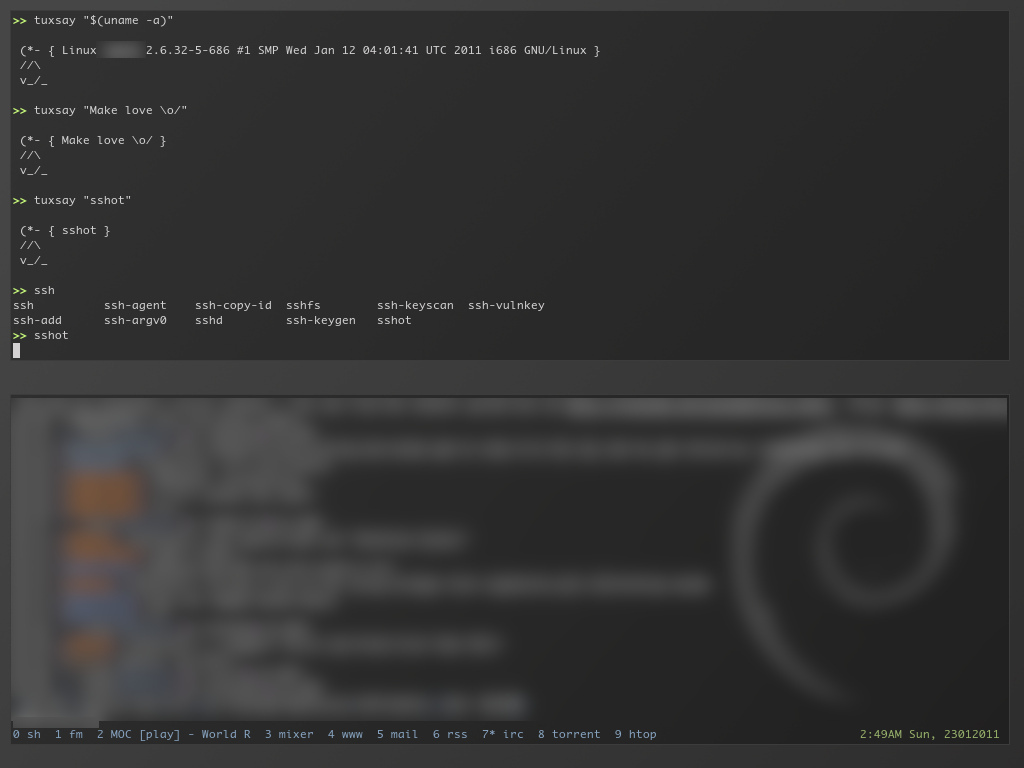 IMG: sshot-20110123-dwm-debian.jpg