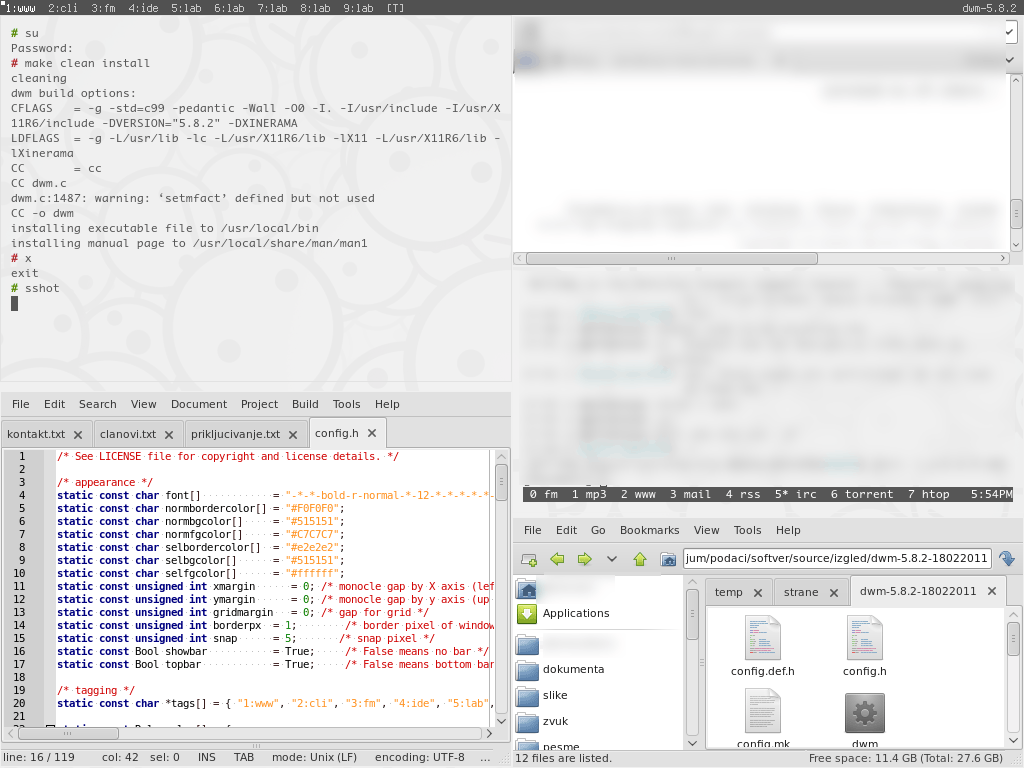 IMG: sshot-20110218-dwm-debian.png