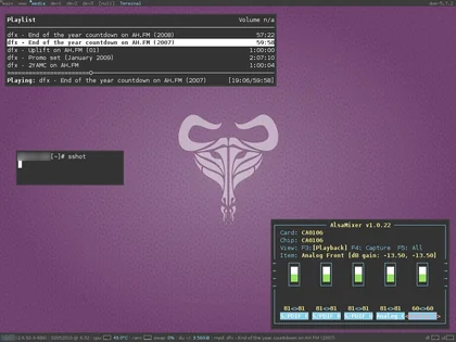 THUMB: sshot-20100502-dwm-debian.jpeg
