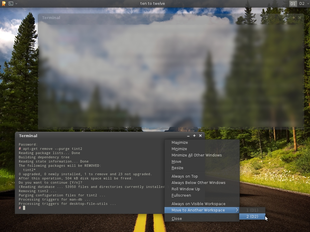 IMG: sshot-20110423-xfce-debian.jpeg