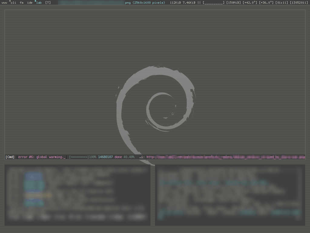 IMG: sshot-20110513-dwm-debian.png
