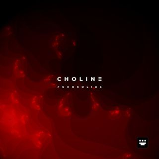 Album art for 'Choline' by Pohokolius. Red, web-like fractal pattern emerges from the bottom-left corner against a black background. The title and artist name are in the center in a stylized white font.