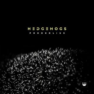 Album art for 'Hedgehogs' single by Pohokolius, showing a close-up of bristles resembling hedgehog quills